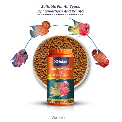 Image of Intan Flower Horn Pellets (Big 3.0mm Floating) | 480gm - Highly Nutritious Ornamental Fish Food for Flowerhorn & Kamfa | Growel Feeds