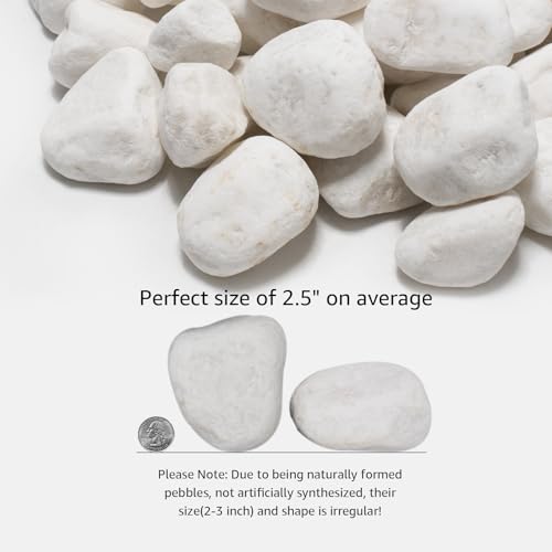 Image of White Natural River Rocks, 2-3.5 Inch Decorative Stones for Plants, Garden, and Landscaping - 40LB, Ideal for Fish Tanks, Vases, Crafting, Home Decor, and Outdoor Landscaping