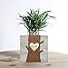 Personalized Tree Heart Wood Planter Box – Custom Initials, Wedding Date, Gift for Couples, Valentine's, 5th Anniversary, Engagement, or Spouse