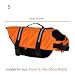 Hunde-Lebensjacke – reflektierende Schwimmjacke, atmungsaktiv und verstellbar | Wasserweste für Hunde zum Schwimmen, Pool, Kajakfahren, Rafting und See-Abenteuer