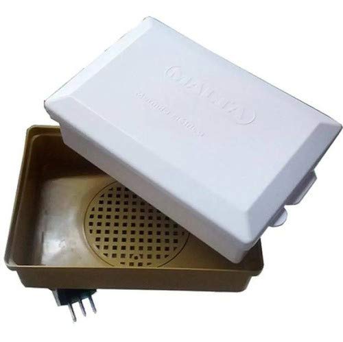 Marmita Elétrica Retangular Aquecimento A Vapor Bivolt Malta