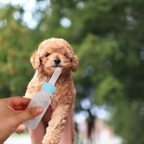 HANABASS-Silicone-Pet-Nursing-Bottles-3pcs-Dog-and-Cat-Feeding-Bottle-Puppy-Milk-Feeder-Kitten-Milk-Replacer-Pet-Nursing-Bottles-for-Pet-Feed-Supplies - Cucciolini Doodles   HANABASS-Silicone-Pet-Nursing-Bottles-3pcs-Dog-and-Cat-Feeding-Bottle-Puppy-Milk-Feeder-Kitten-Milk-Replacer-Pet-Nursing-Bottles-for-Pet-Feed-Supplies