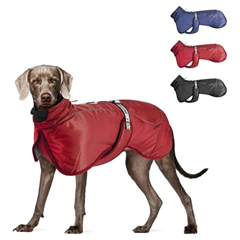 Dog Coat for Winter Warm Dog Jacket Waterproof Windproof Pet Vest Dog Clothes with Harness Puppy Outfit for Medium to Large Dogs Outdoor Walking (Red, XL(Chest Girth 58-66cm,Back Length 35cm)) Cover