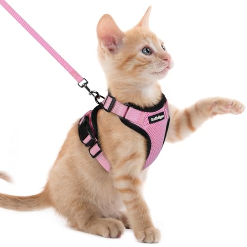 rabbitgoo Pettorina Gatto Antifuga con Guinzaglio, Guinzaglio per Gatti Regolabile, Pettorina Cane Taglia Piccola Riflettente, Imbracatura Gatto Adulto in Maglia Traspirante per Passeggiate, Rosa, XXS