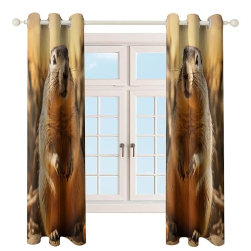2 Rideaux occultants marmotte bleu marine 140x240cm - 5