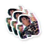 Kris Jenner Party Vinyl Stickers 3 Pack 3 Inch