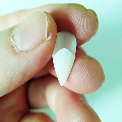 Presas de Dentes de Vampiro, Festa de Halloween, Cosplay, Dentaduras, Adereço, Decoração, Horror, De