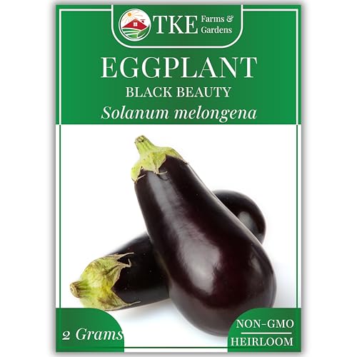 TKE Farms & Gardens - Black Beauty Eggplant Seeds for Planting, 2 Grams, 400+ Heirloom, Non-GMO Seeds, Ideal for Gardens, Containers, or Raised Beds, Easy-to-Follow Instructions, Solanum melongena