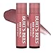 Burt's Bees 100% Natural Tinted Lip Balm, Pack of 2