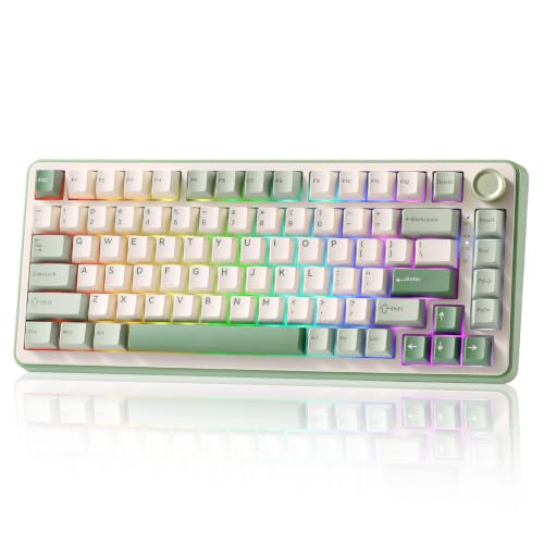 YUNZII B75 PRO