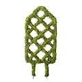 SuperMoss Plant Trellis - Decorative Garden Trellis for Climbing Plants Indoor & Outdoor | Moss-Covered Plant Support for Raised Garden Bed, Patio, Planters, and Garden Decor, Mini 17" X 6.5", Diamond