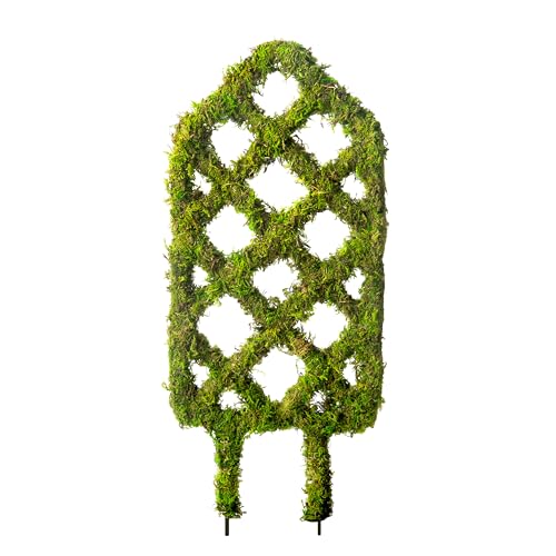 SuperMoss Plant Trellis - Decorative Garden Trellis for Climbing Plants Indoor & Outdoor | Moss-Covered Plant Support for Raised Garden Bed, Patio, Planters, and Garden Decor, Mini 17' X 6.5', Diamond