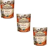 Carnilove Autruche avec Mûres | Pack de 3 | 3 x 300 g | Nourriture Humide pour Chiens Adultes | Autruche avec mûres | sans céréales | Composé de 85% de Viande et d'abats