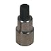 Lisle - 3/8 x 3/8in. Drive Brake Caliper Socket Bit
