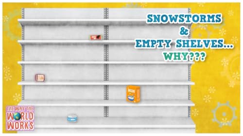 654. What Do Snowstorm Shortages Teach Us About Market Signals?