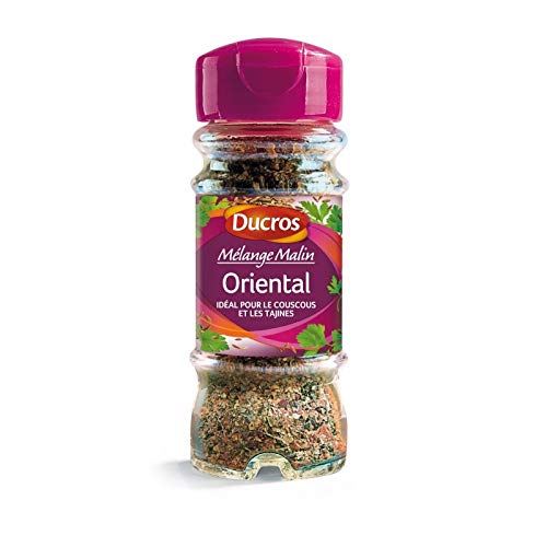 Mélanges à l'orientale Ducros lot de 4 x 32g épices tajine et couscous maison