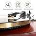 Record Player Needle, Upgraded Record Player Cartridge with Diamond Stylus Replacement for Crosley, ION, LP, Phonograph, and More (Gold)