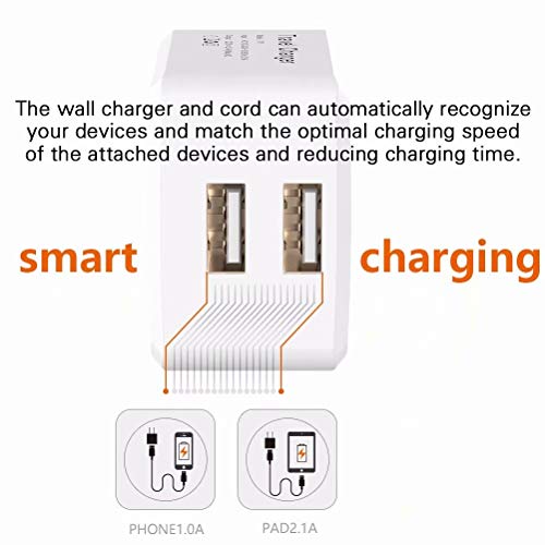 iPhone Charger, MBYY MFi Certified Lightning Cable 6FT(3-Pack) Fast Charging Data Sync Transfer Cord    with 2 Port USB Plug Wall Charger Travel Adapter Compatible with iPhone 11 Pro Max Xs X XR 8 7 Plus