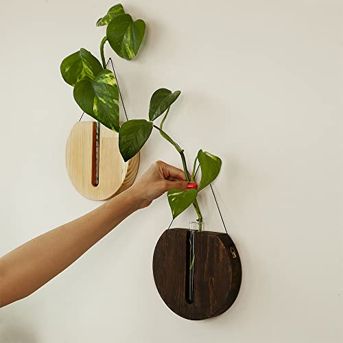 Hanging Planters For Indoor Plants, Succulents Plants Live, Planters For Indoor Plants, Plants Live Houseplants, Self Watering Planters, Plant Hanger Indoor Boho Wall Decor, Farmhouse Wall Decor #TOP2