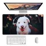 Ssedltbc Custom Mouse Pad with Photo - Personalized Desk Mat with Picture, Text, Customizable Large Keyboard Mousepad for Gaming, Office, Desk Accessories Gift for Gamers, Multiple Size Options