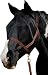 Kensington Natural Look CatchMask Horse Fly Mask — Innovative Combination Fly Mask and Catch Halter with Double Locking Lead Rope Fastener — 2 Sizes (Black, Large)