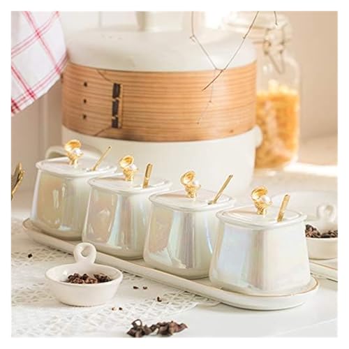 Boîte à épices de cuisine avec pot d'assaisonnement et plateau intégré