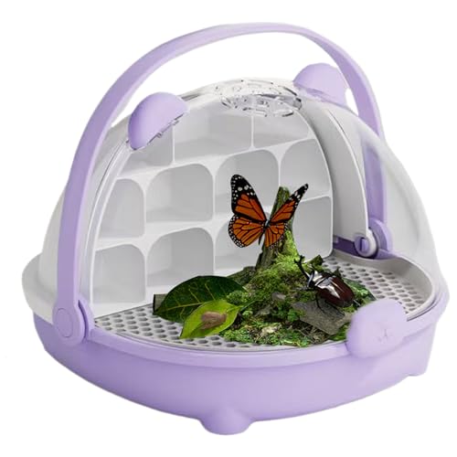 VNEH[AeAO\ȃRp[ggƃwXJCR̔BƐ̂߂̃GAt[̒ʋCȃJCRϑ{bNXA̐nP[WA঒ޔɐB^Nnht