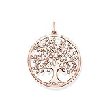 Der Anhänger passt zu allen Thomas Sabo Ketten und lässt sich schön mit weiteren Thomas Sabo Produkten kombinieren