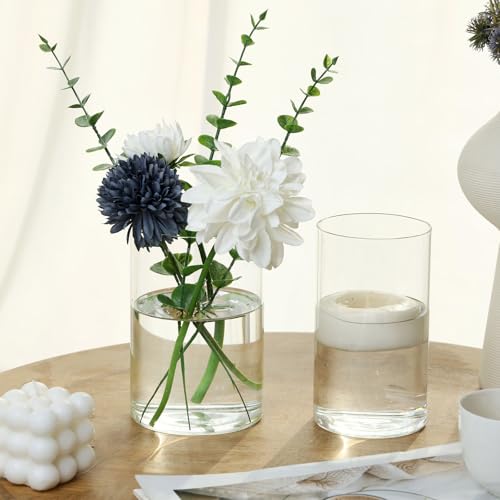 image for Fixwal 12pcs Clear Glass Cylinder Vases, 6 Inch Tall, Modern, Clear, S