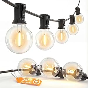 SUNSGNE G40 LED Globe Outdoor String Lights Waterproof Shatterproof, 25FT Outdoor Globe Lights with 25 LED Plastic Clear Light for Café Bistro Porch Pergola Tents Balcony Decor, Black Wire