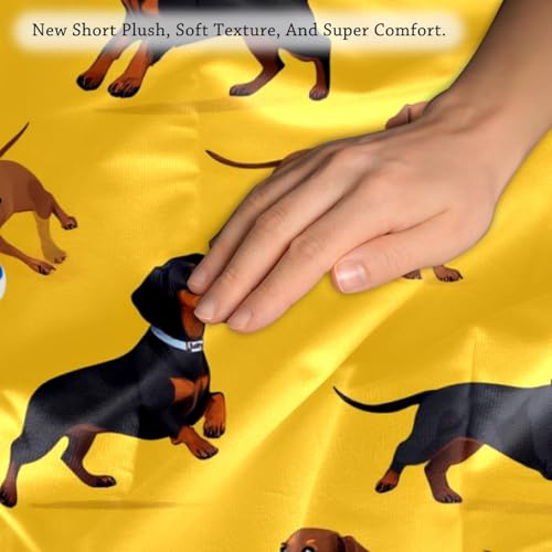 Fundas cojín perro salchicha fútbol americano terciopelo decorativas de 50x50 4