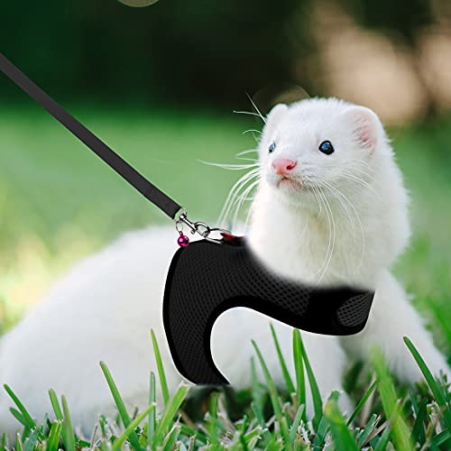 image for Rypet Animal Harness and Leash - Soft Mesh Pet Harness With Safe Bell,