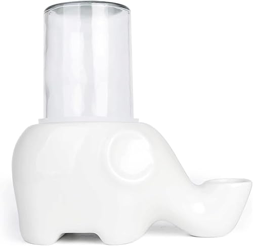 REAGAR Fuente de agua de cerámica para gatos con vidrio Bttle de 16.9 fl oz, dispensador automático de agua para mascotas, ultra silenciosa, forma