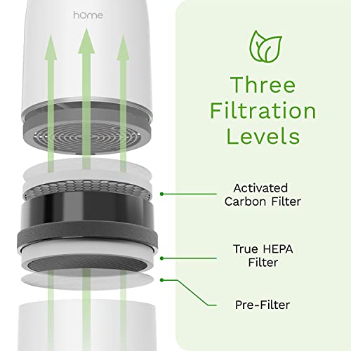 Homelabs X Popular Science Air Purifier With True Hepa Filter - Removes 99.97% Of Airborne Particles With H13, Activated Carbon And 3-Stage Filtration #TOP5