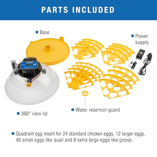 Brinsea Maxi 24 EX Egg Incubator with Automatic Humidity Control and Egg Turning for Hatching 24 Chicken, Duck, or Other Eggs, Optimal Flexibility with Mix & Match Sizes