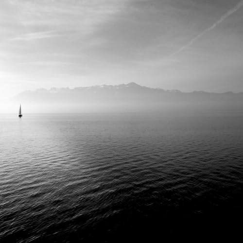 Plckhg The Audio & Ebook Library cover art