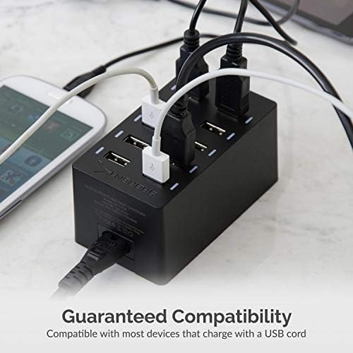 Sabrent 60 Watt (12 Amp) 10-Port Family-Sized Desktop USB Rapid Charger. Smart USB Ports with Auto Detect Technology [Black] (AX-TPCS)