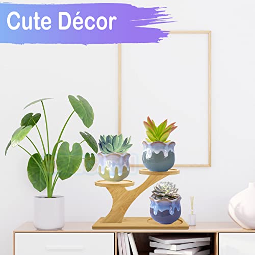 Gregich 2 Packs Bamboo Succulent Plant Stands 3 Tier Tabletop Plant Stands For Indoor Plants, Small Cute Succulent Plant Holder With Saucer, Tiered Plant Stand For Succulent Pot Holder For Indoors #TOP3