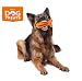 Natural Dog Treats Cepillo de Dientes y Dentífrico Set para Perros, 100%...