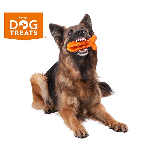image for Natural Dog Treats Toothbrush Stick and Toothpaste Beef Flavor Dental 