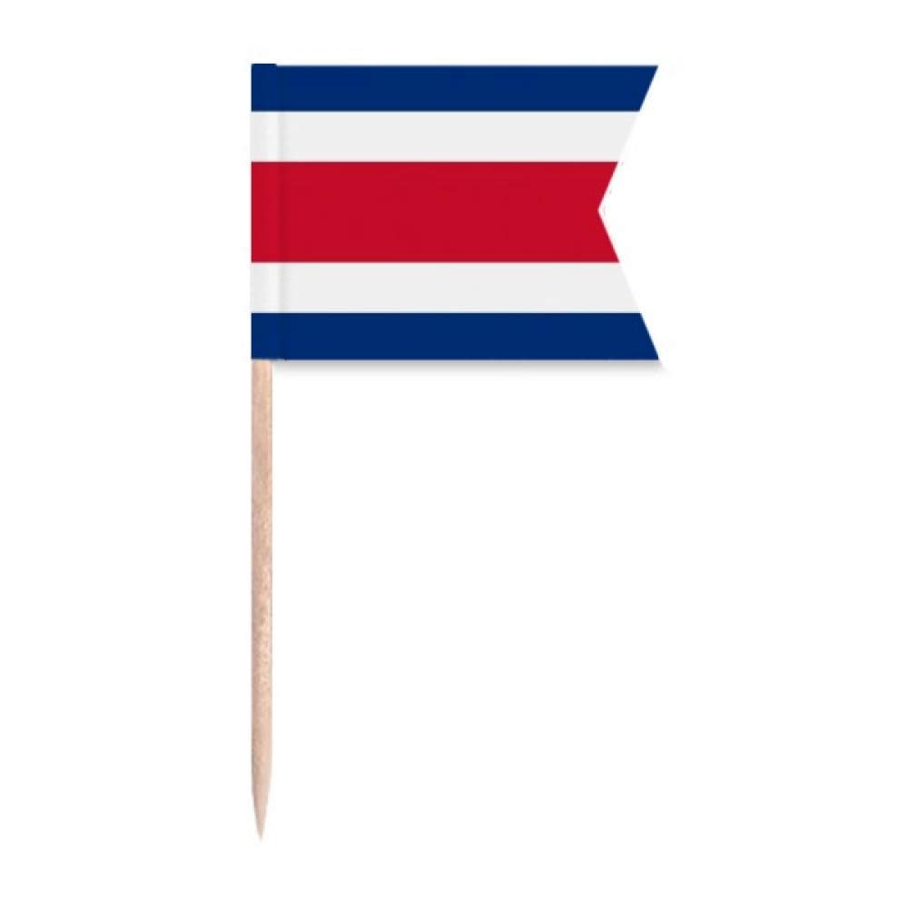 Drapeau Costa Rica cure-dent gâteau de fête et pique fromage