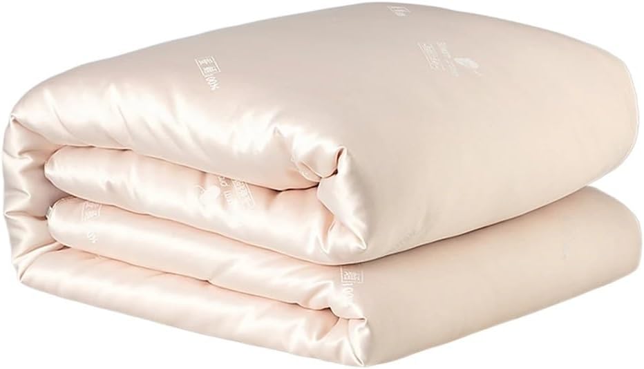 Silk Quilt Duvet Handmade 4 Season Comforter Warm Comfort