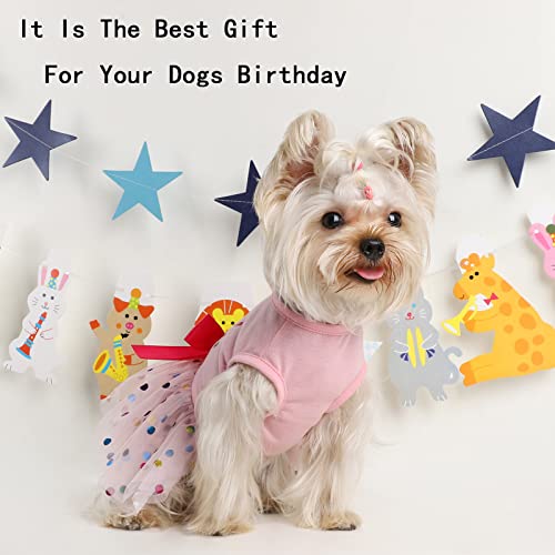 Dog Dress Birthday Clothes For Small Medium Dogs, Print Colorful Polka Dot Mesh Dresses Girl Dog Clothes, Summer Tutu Princess Pet Puppy Clothing Doggie Outfits Cat Apparel (Large, Pink) #TOP2