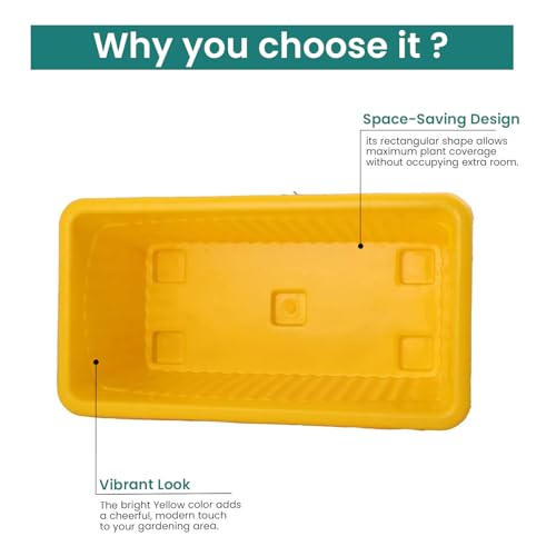 Image of Bianco Rectangular Plastic Pots for Plants, Jupiter Flower Pots for Home, Window Display, Garden (35 x 18.5 x 15 cm) (Yellow) (Pack of 12)