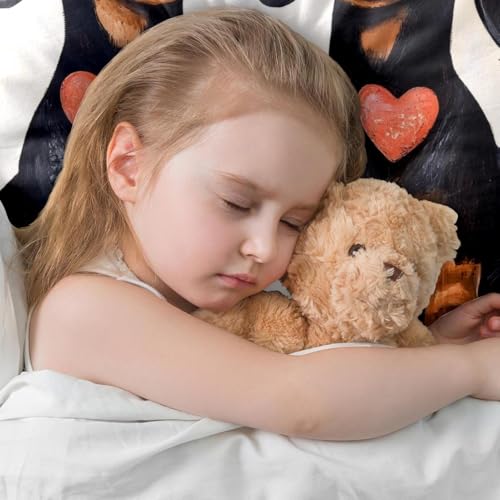 Housse de coussin velours double face haut de gamme 50x50cm