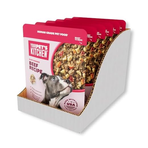 Your Pet's Kitchen Wet Dog Food, Slow Simmered Beef Recipe - 9 oz Pouch, (Pack of 6), Human Grade Pet Food Made in The USA with Real Beef