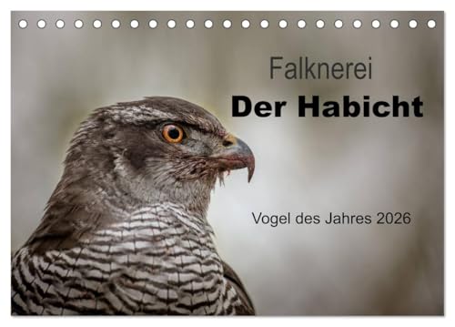 Falknerei Der Habicht (Tischkalender 2026 DIN A5 quer), CALVENDO Monatskalender: Beeindruckende Bilder zur Beizjagd mit dem Habicht (CALVENDO Tiere)