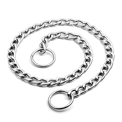 Mogokoyo Collare Cane Guinzaglio P in Acciaio per