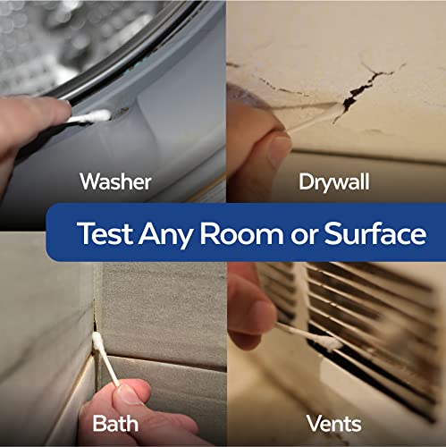 image for ImmunoLytics DIY Mold Test Kit - Easy to Use Precise Mold Detection an