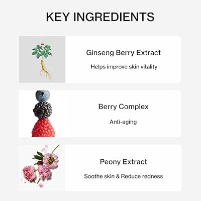 SHANGPREE Ginseng Plus Eye Mask (Eyepatches) 30 Pairs, Hydration & Elasticity Boost, Precious Ginseng Berry Extract, Cooling & Refreshing, for Dull Skin